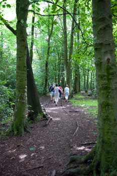 family taking a walk in mature woods in the Cheshire countryside in England