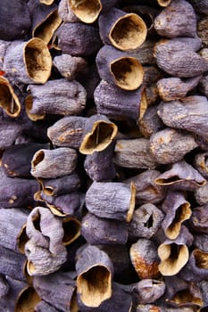 dry eggplants on rope for cooking, its made in Turkey and shops sell these in bazaars