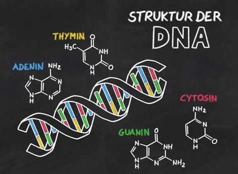 Structure of DNA from a slate