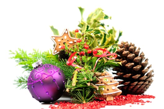 Christmas bush