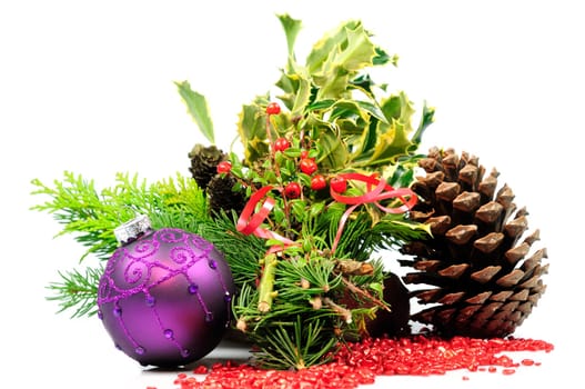 Christmas bush