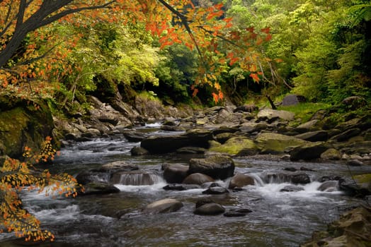 Maple River for adv or others purpose use