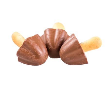 Chocolate biscuit with mushroom shape