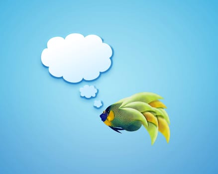 angelfish faces as social network with speech bubbles.