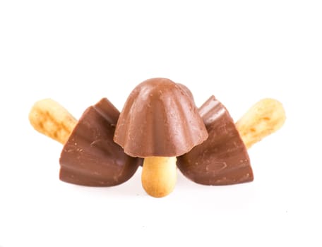 Chocolate biscuit with mushroom shape