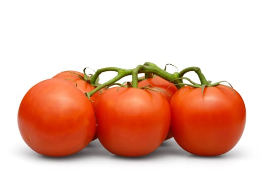 tomato