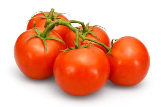tomato