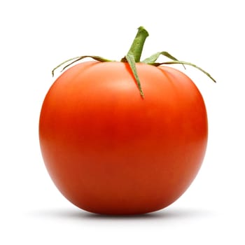 tomato