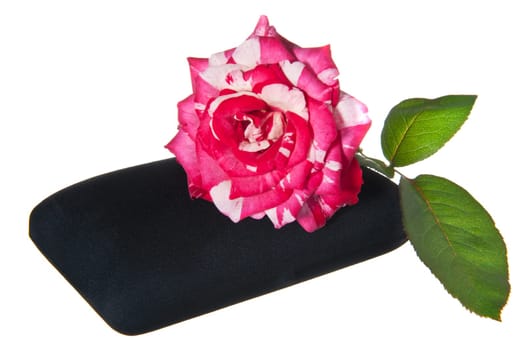Gift box and rose on a white background