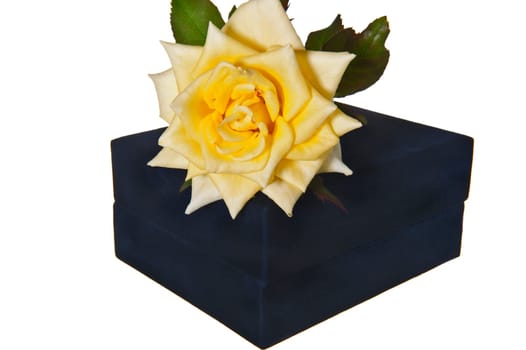 Gift box and rose on a white background