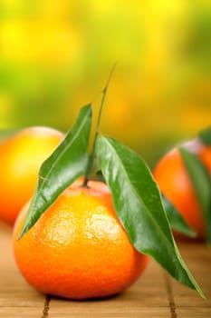 Fruity orange tangerine with green leaves against natural background