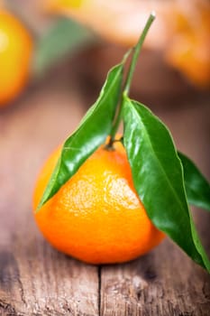 Fruity orange tangerine with green leaves against natural background