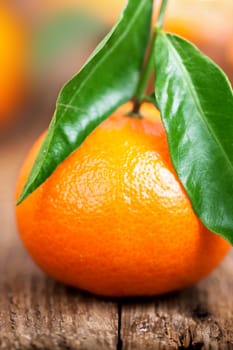 Fruity orange tangerine with green leaves against natural background