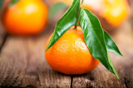 Fruity orange tangerine with green leaves against natural background