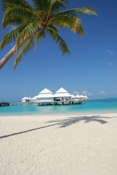 Dream beach