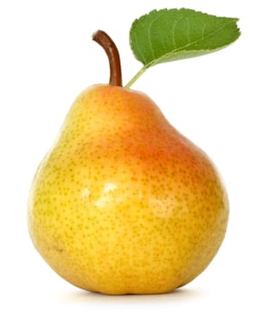 pear over white background