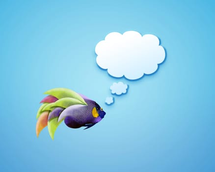 angelfish faces as social network with speech bubbles.