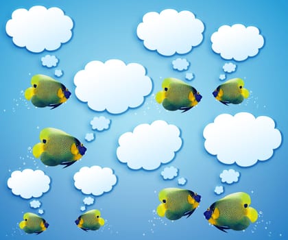 angelfish faces as social network with speech bubbles.