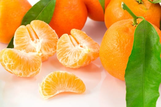 fruit