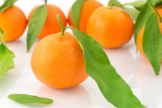 fruit
