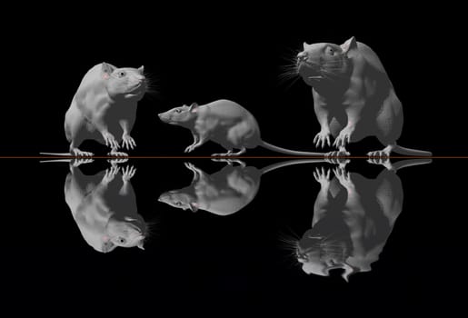 three mice