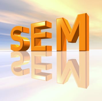 SEM - Search Engine Marketing