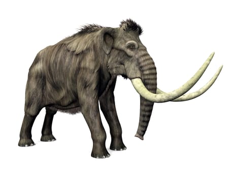 Mammoth