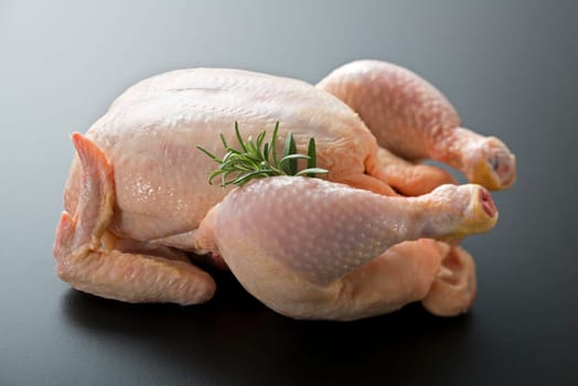 Whole raw chicken with rosemary close up