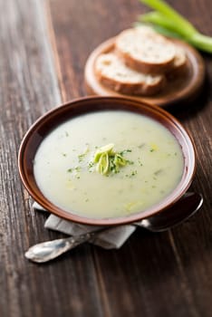 Fresh leek soup on wooden background close up