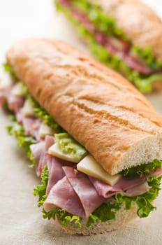 Fresh ham and cheese sandwich with salad close up