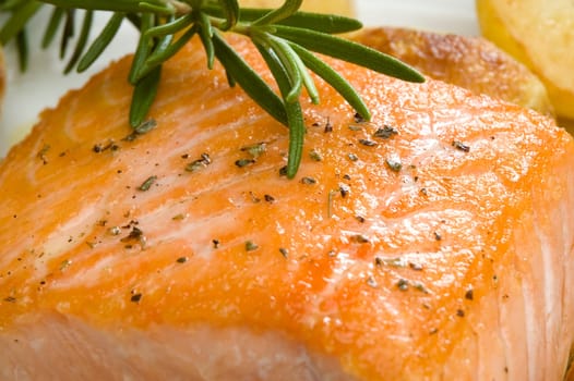 baked salmon stake with rosemary close up shoot