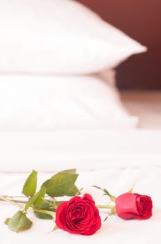 Red roses on the bed