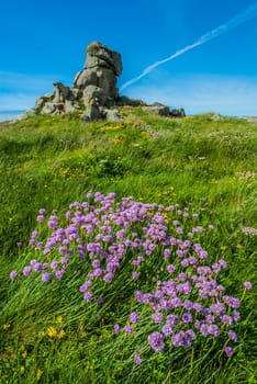 Brehat island in brittany cotes d armor France