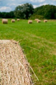 Straw bales in roll form on a harvested field in Brandenburg / Germany