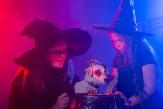 Funny child girl and woman in witches costumes for Halloween with pumpkin Jack and dog