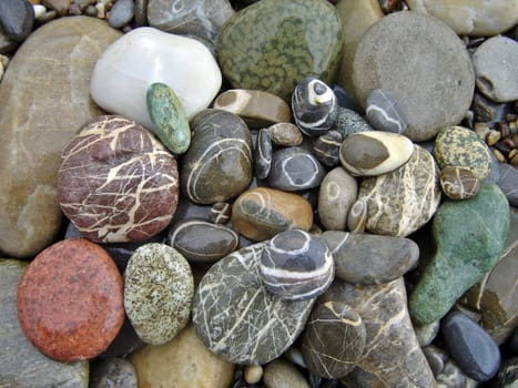 Ringed Rhine pebbles