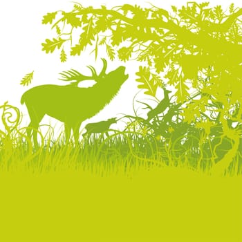 Stag and rut