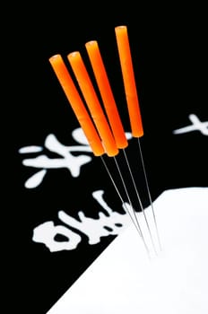 Acupuncture Needle