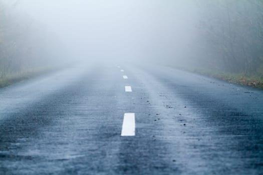 Asphalt road in an autumn fog