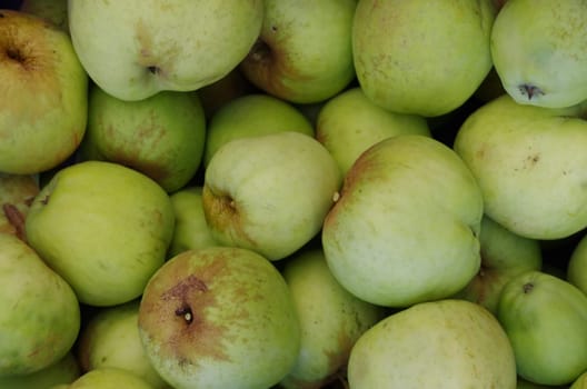 organic apples