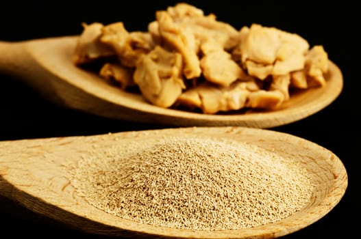 Baking ingredient dry yeast