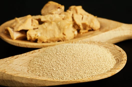 Baking Ingredient Dry Yeast and Fresh Yeast