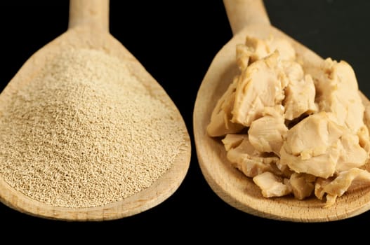 Baking Ingredient Dry Yeast and Fresh Yeast