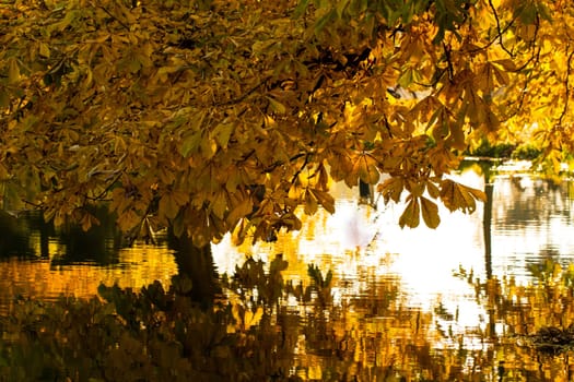 Beautiful colors of autumn landscape by the lake