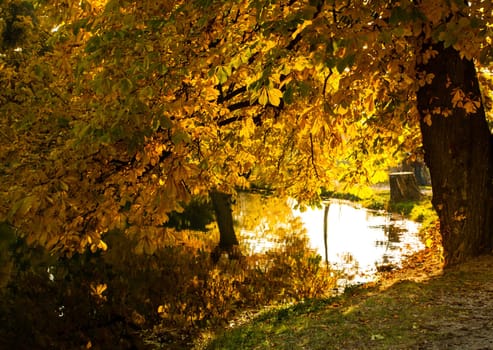 Beautiful colors of autumn landscape by the lake