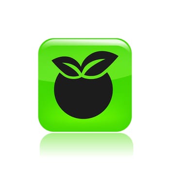 Vector illustration of single isolated apple icon