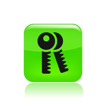 Vector illustration of single isolated keys icon