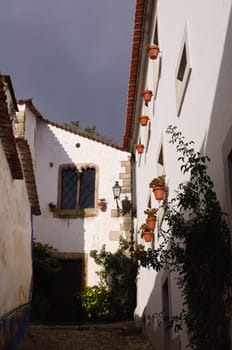 Medieval houses in the ancient city of Obidos, Portugal with castle walls  in the background