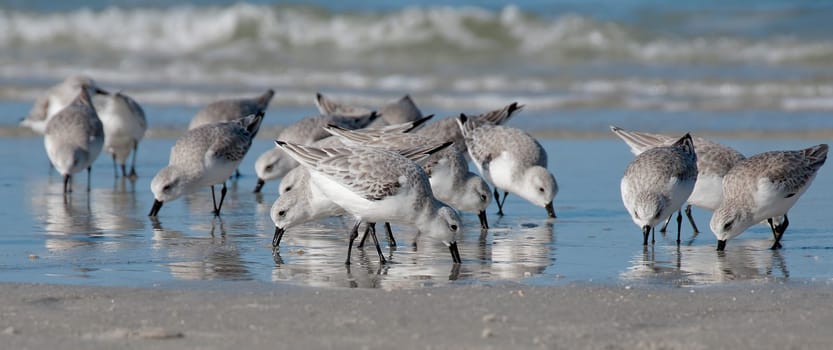 Stint