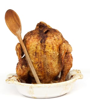 Grilled chicken with wooden spoon,eating in front of white background